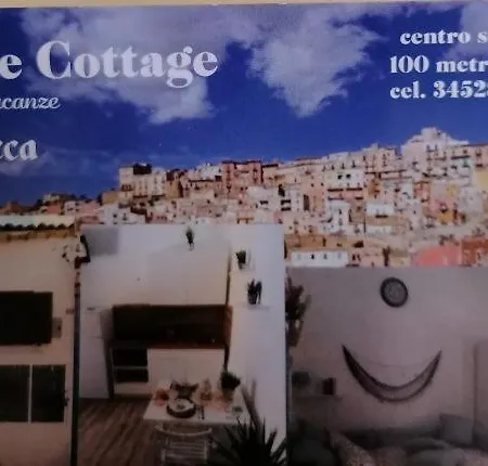 Blue Monolocale Centro Vakantiehuis