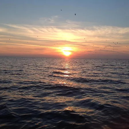 Blue Monolocale Centro * 취아카